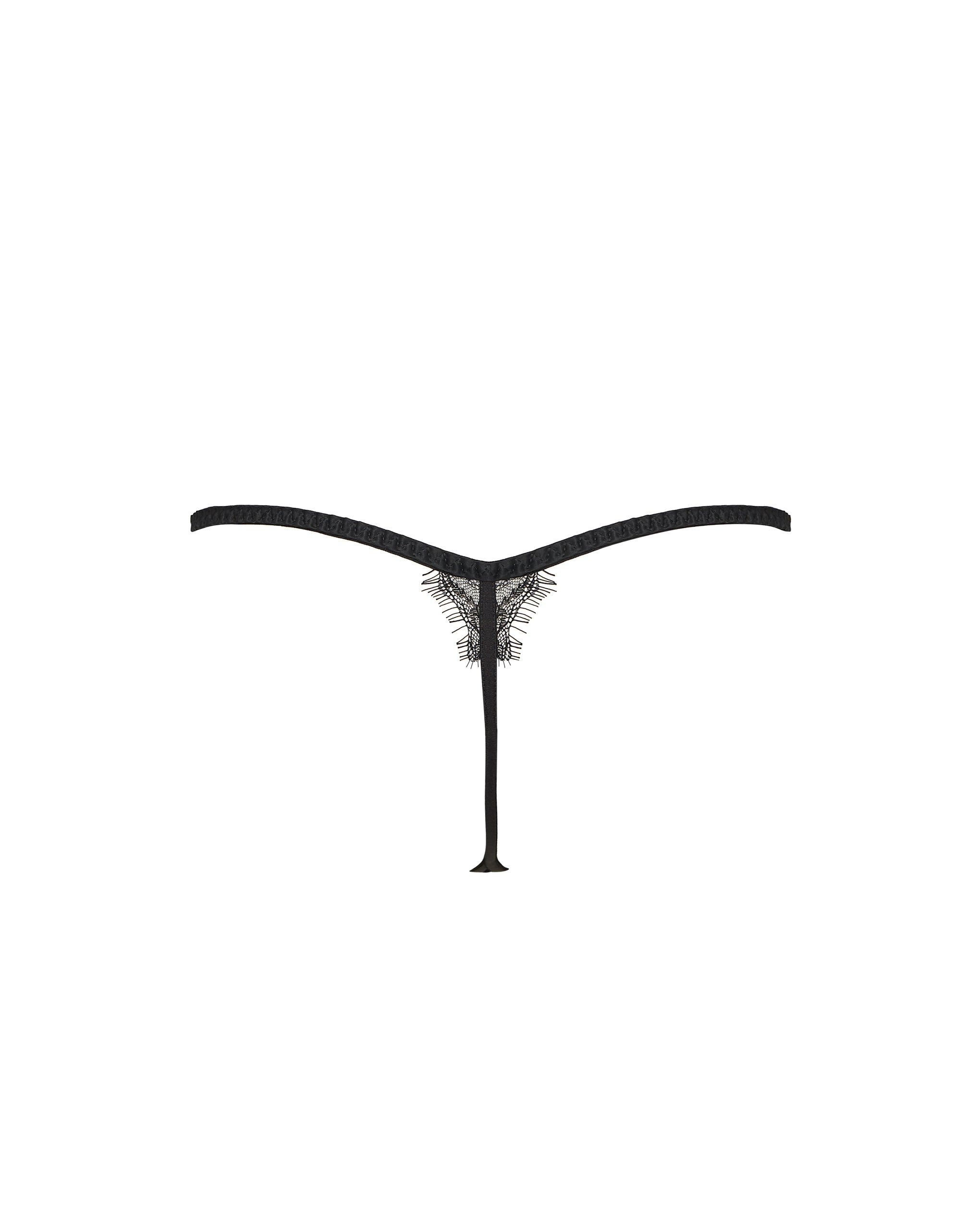 Camelia Lace Thong Black
