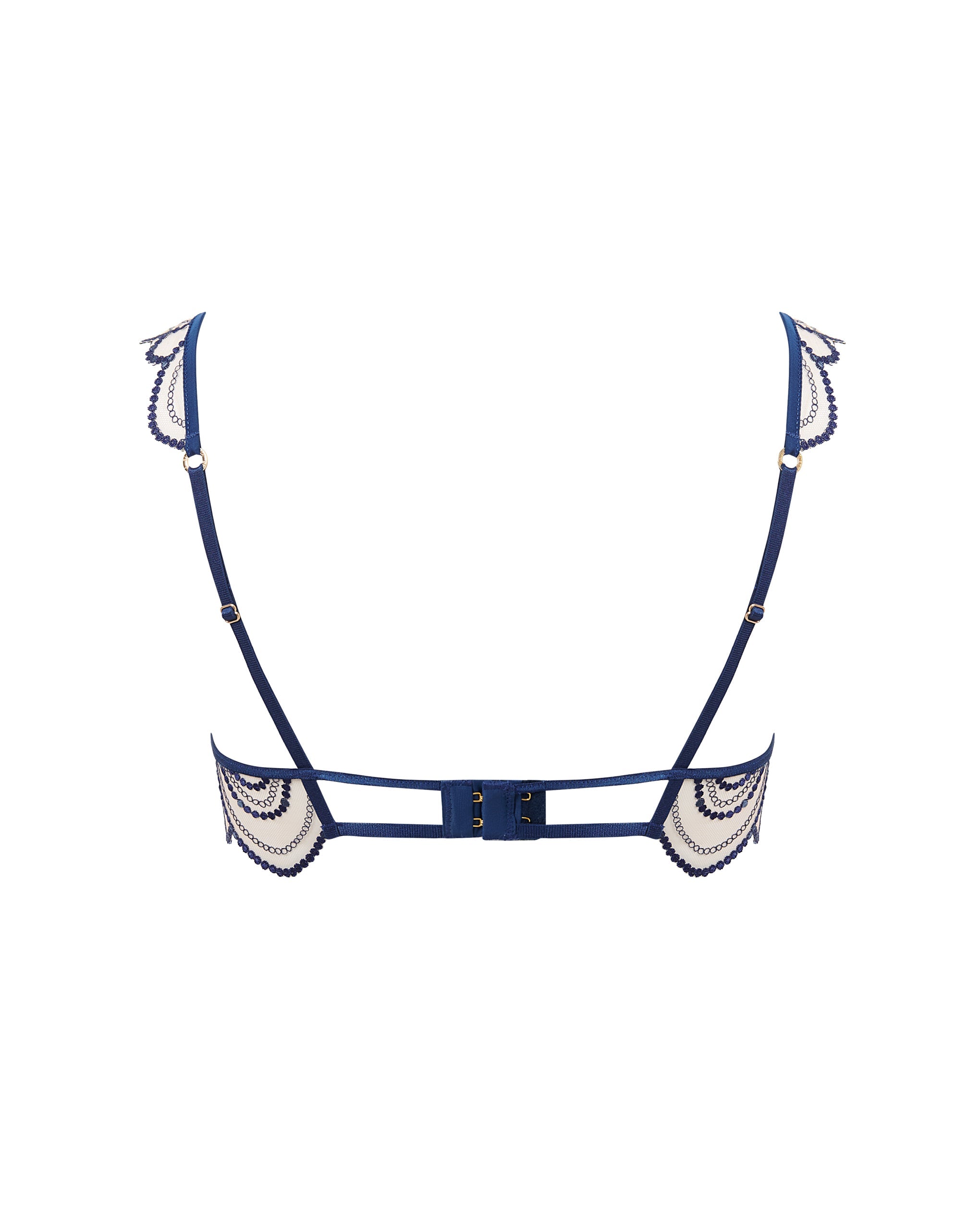 Soraya Embroidered Sheer Bra Blue