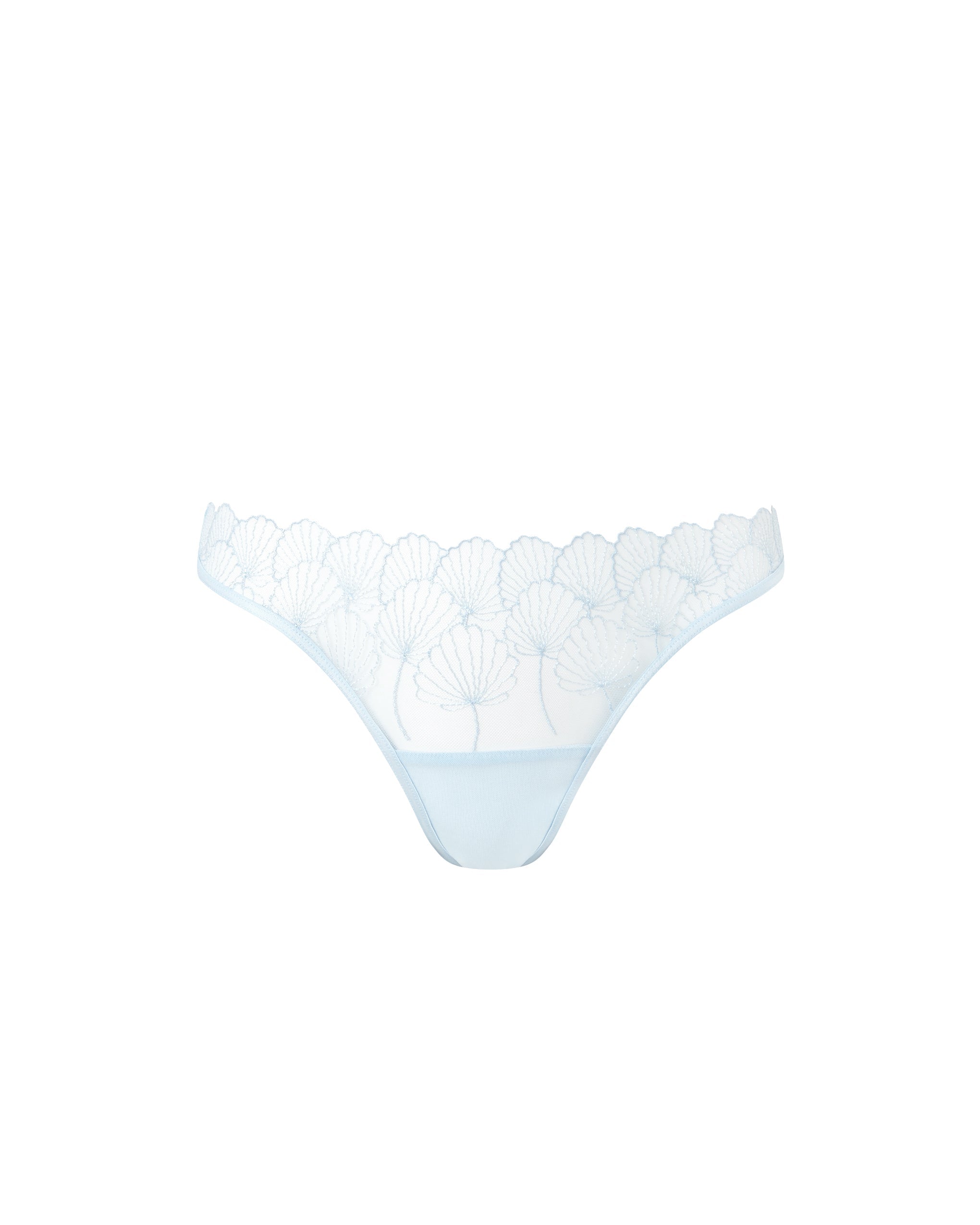 Vermont Embroidered Sheer Brief Ice Water Blue
