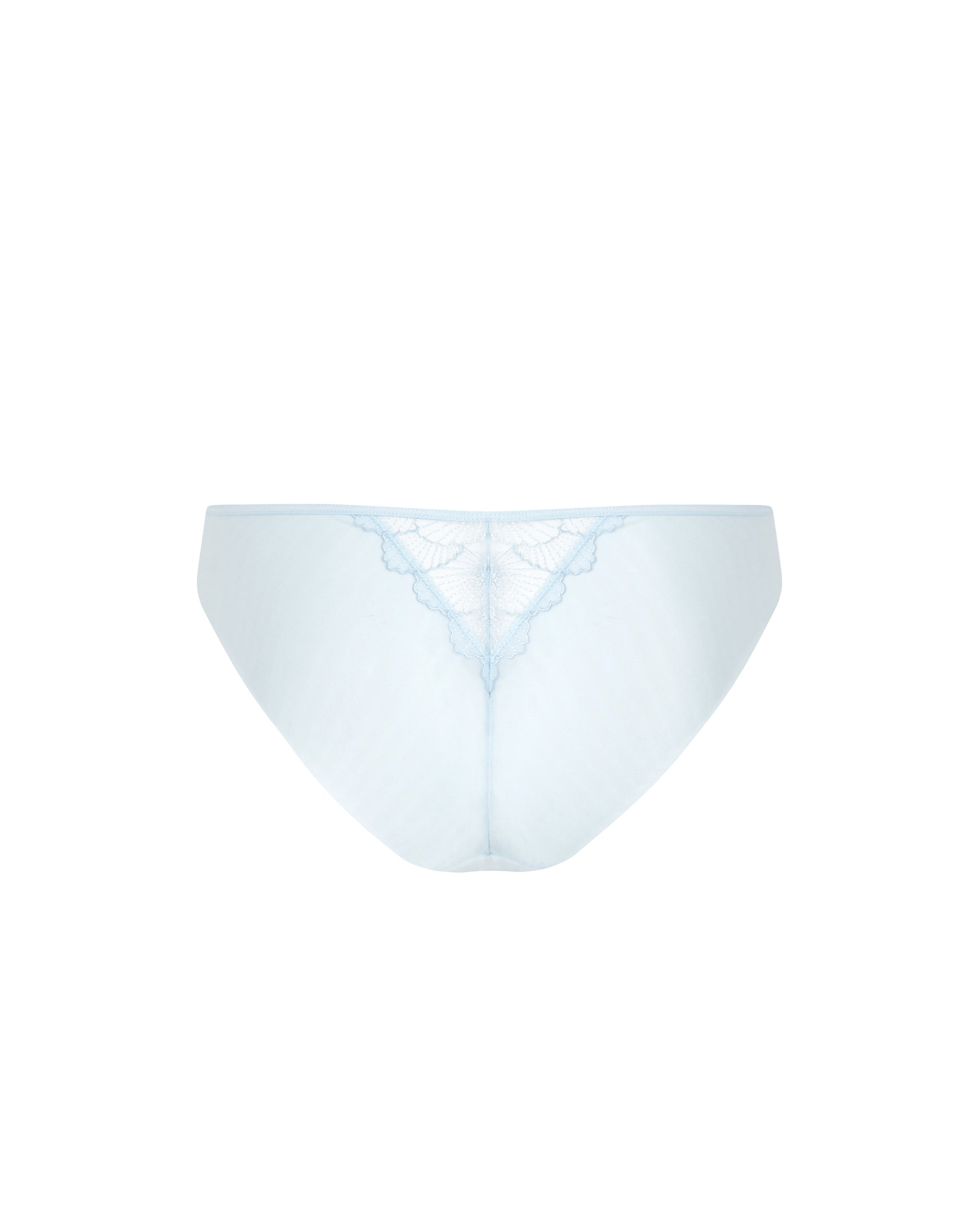 Vermont Embroidered Sheer Brief Ice Water Blue